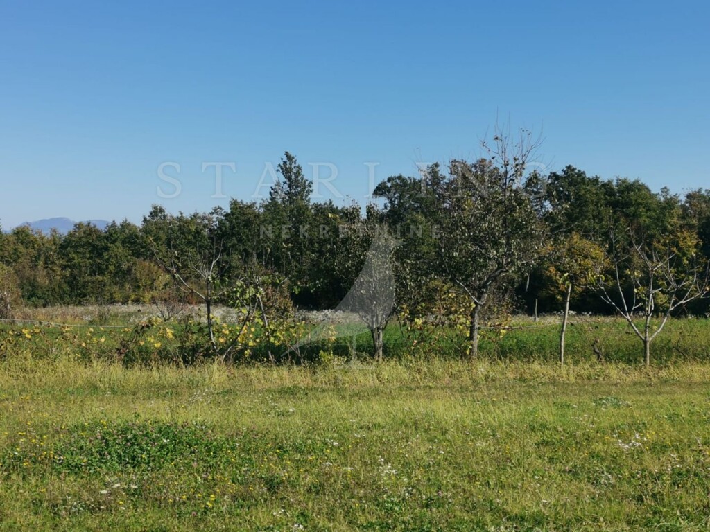 Image 4028388 - 1