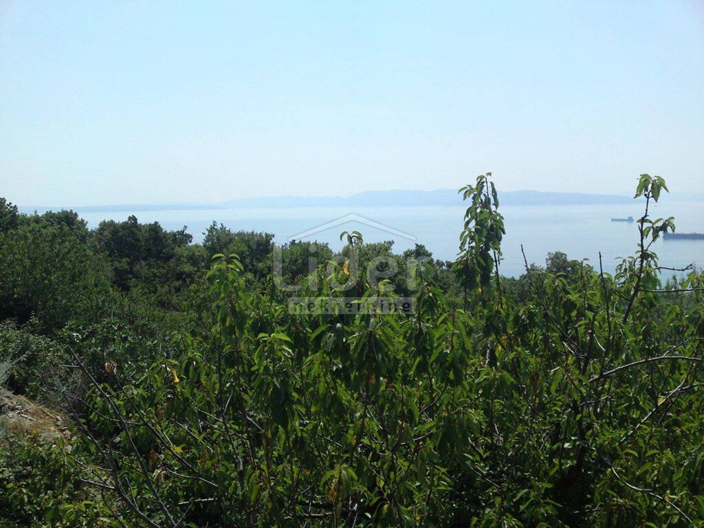 Image 4038027 - 4