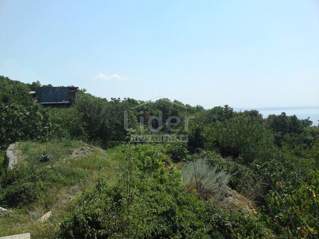 Image 4038027 - 5