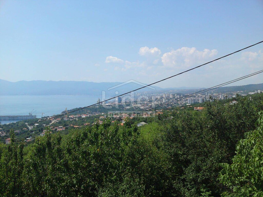 Image 4038027 - 1