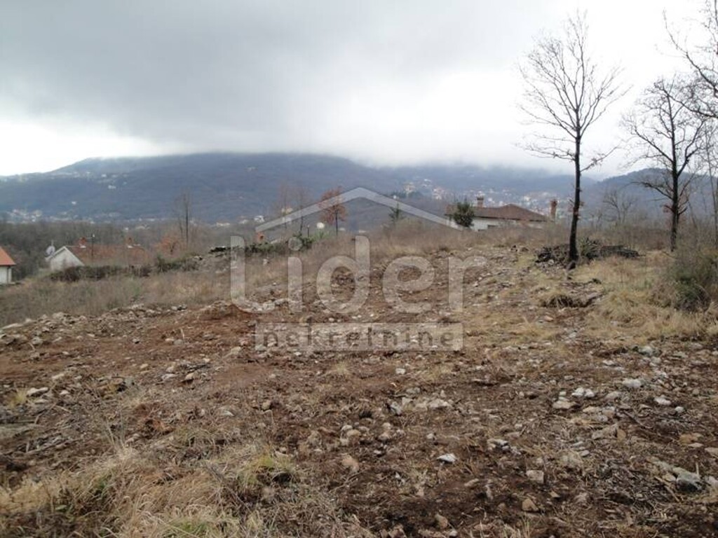 Image 4038030 - 1