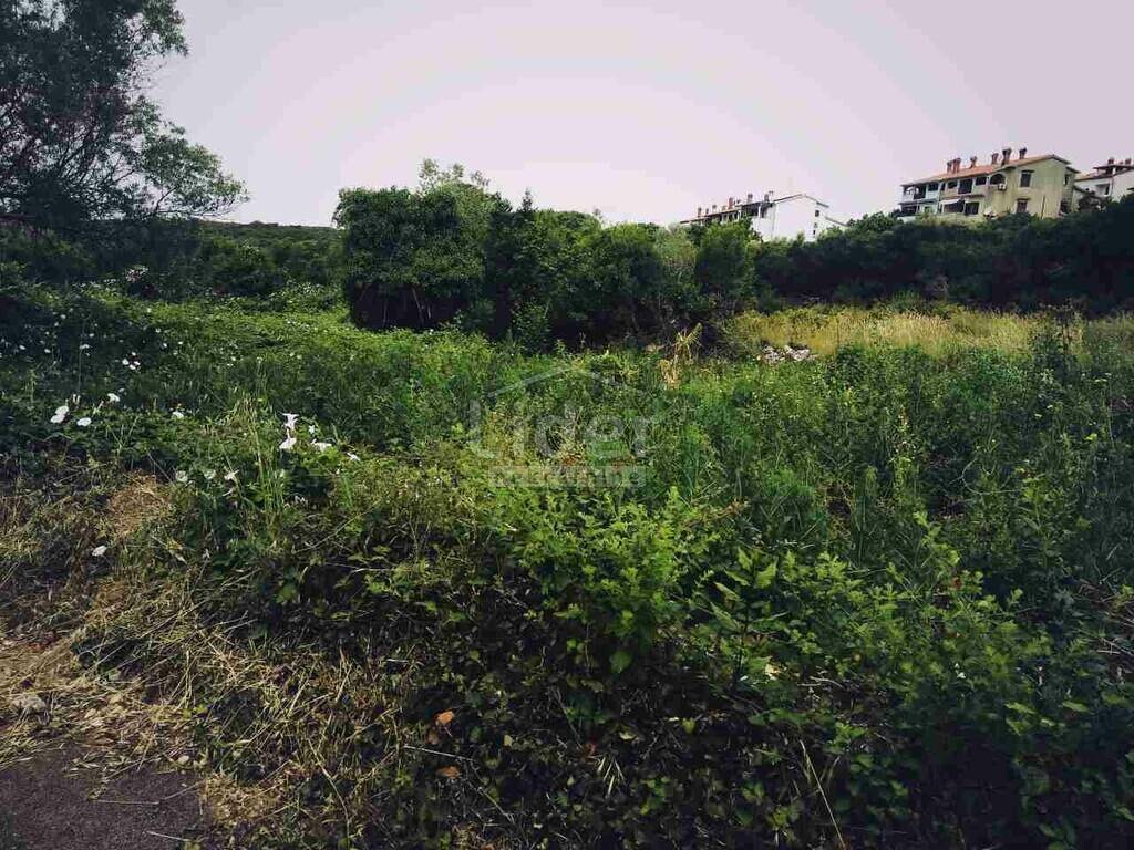 Image 4048040 - 1