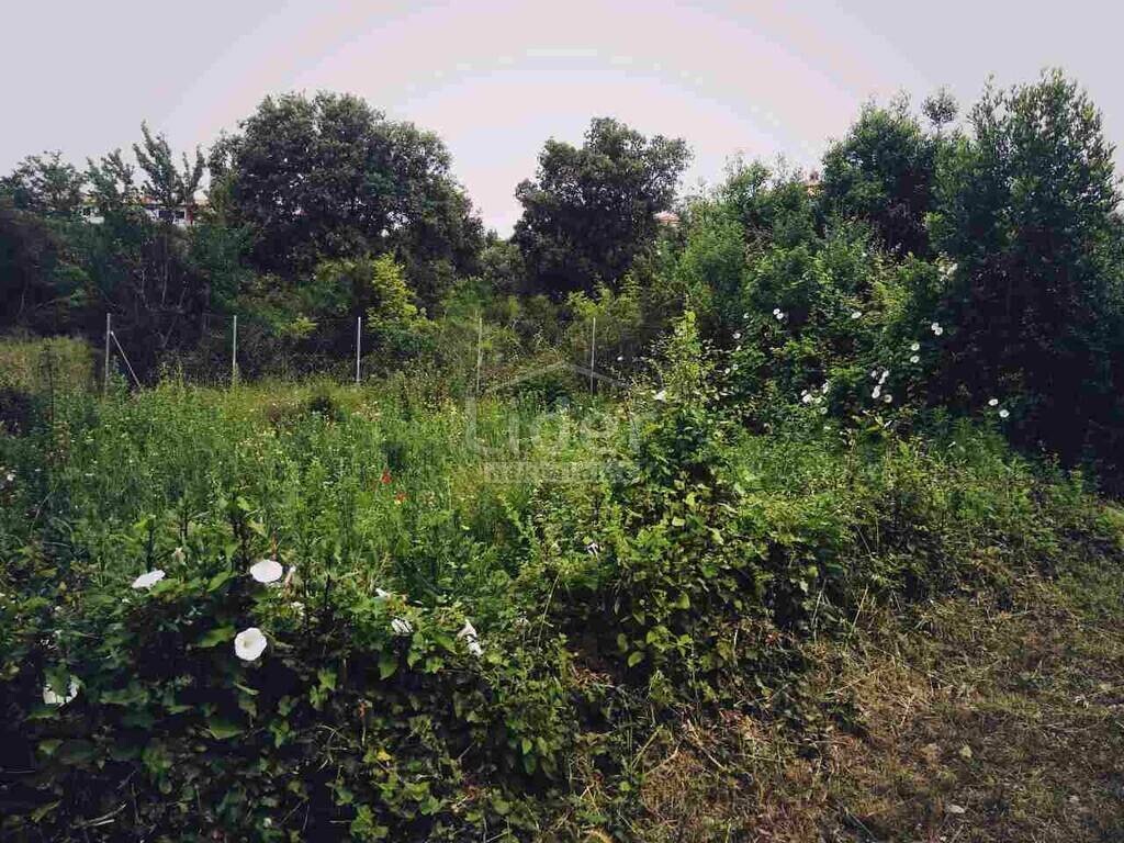 Image 4048040 - 4