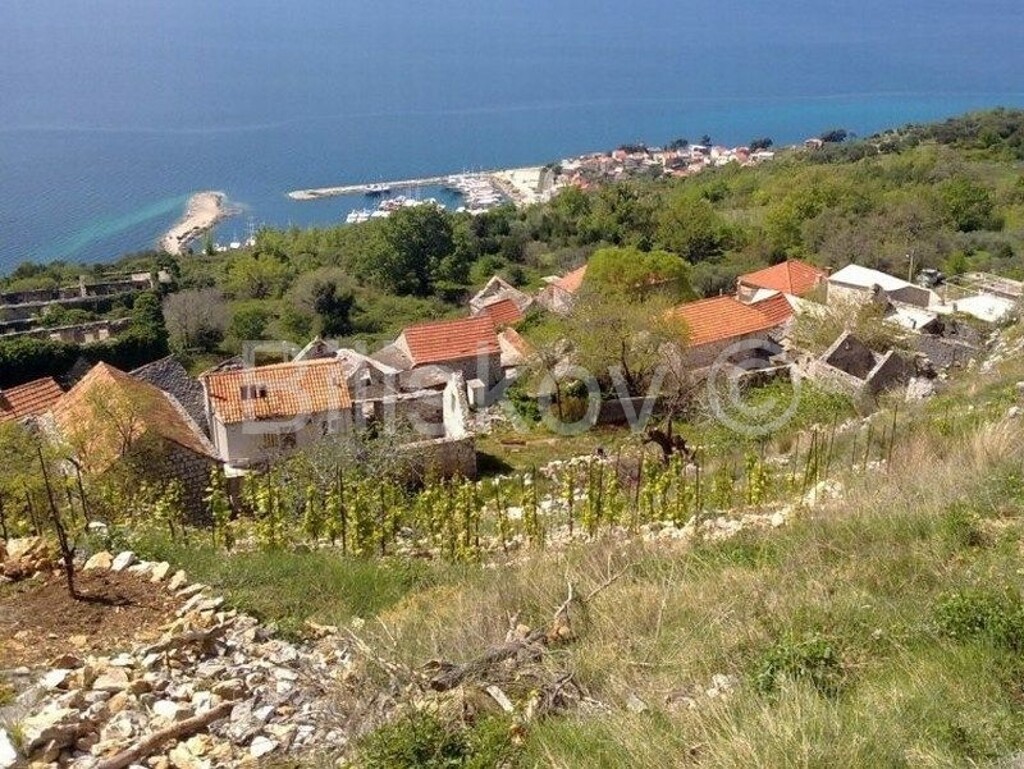 Image 4072399 - 1