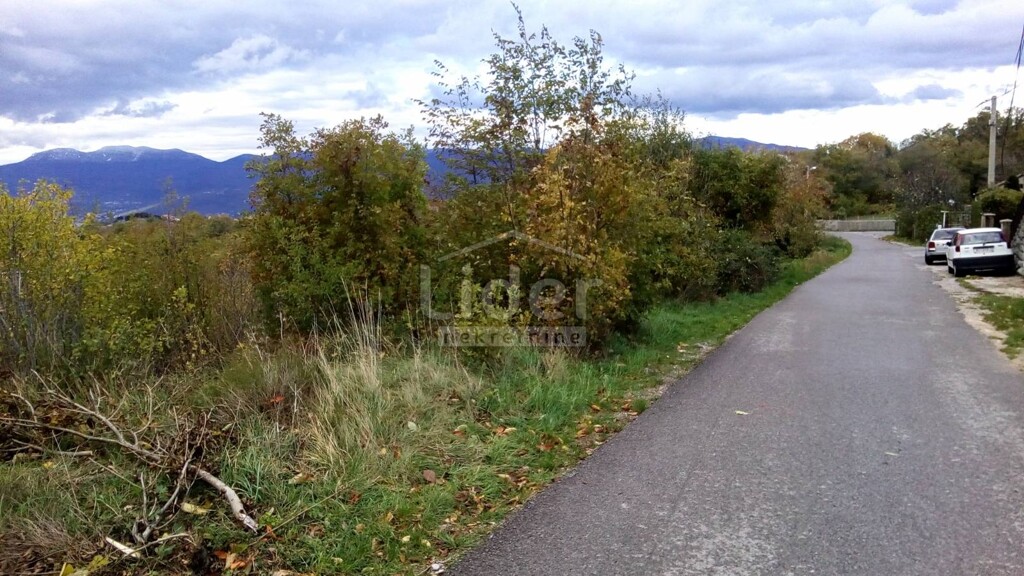 Image 4073901 - 3