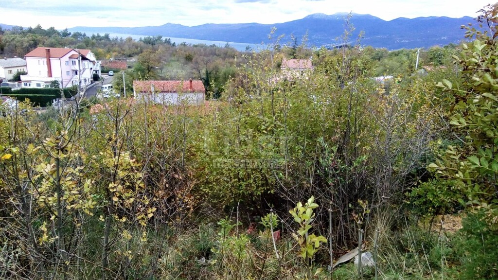 Image 4073901 - 8