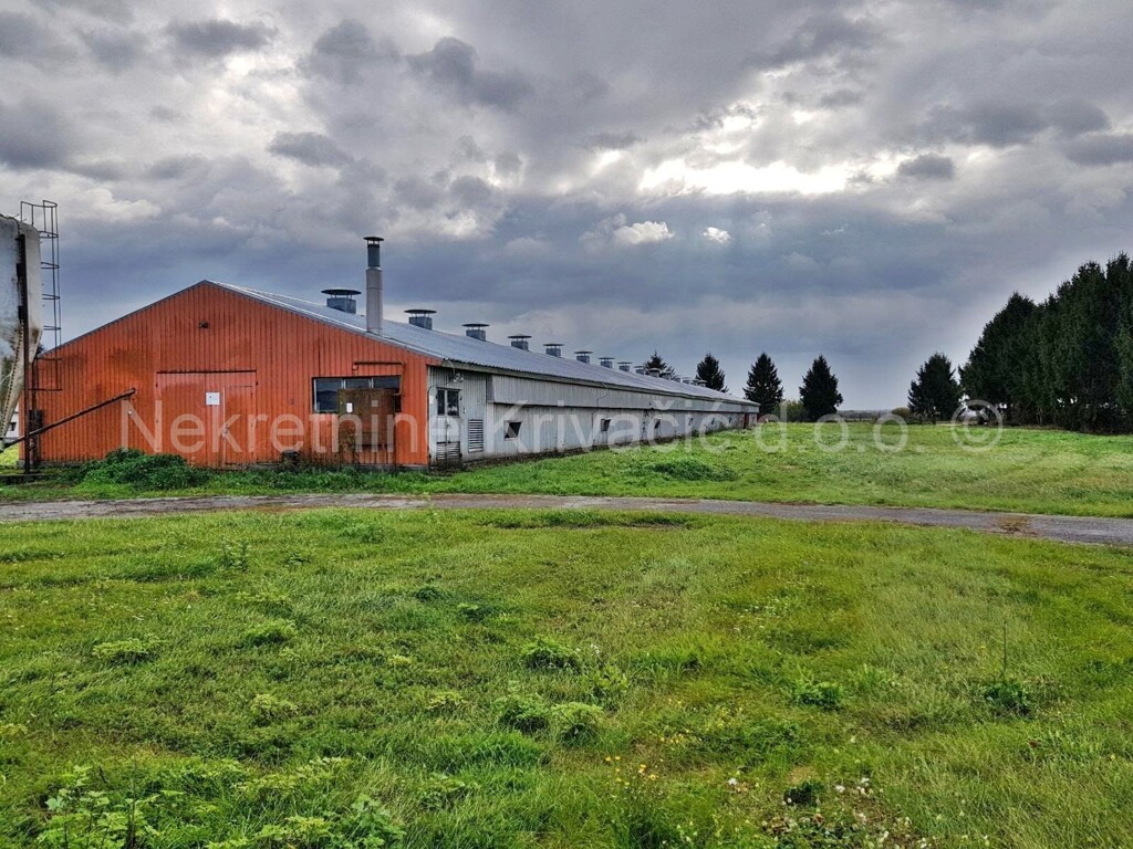 Image 4120587 - 19