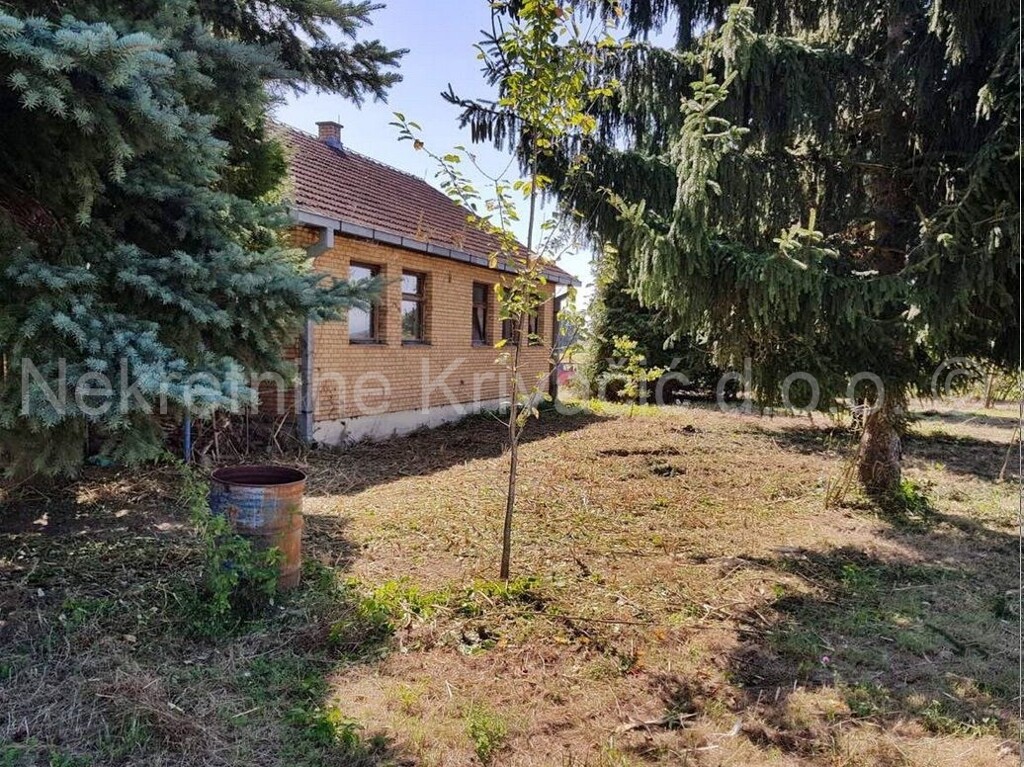 Image 4120587 - 4