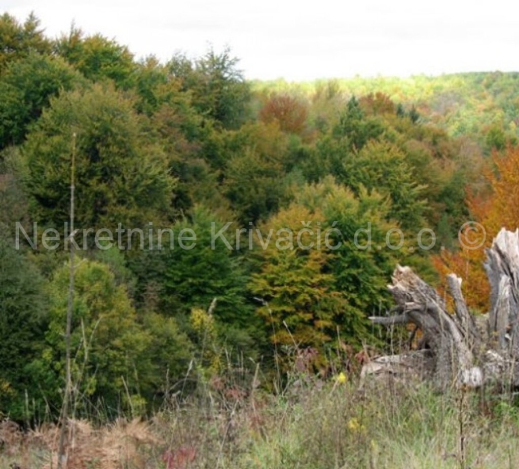 Image 4120624 - 2