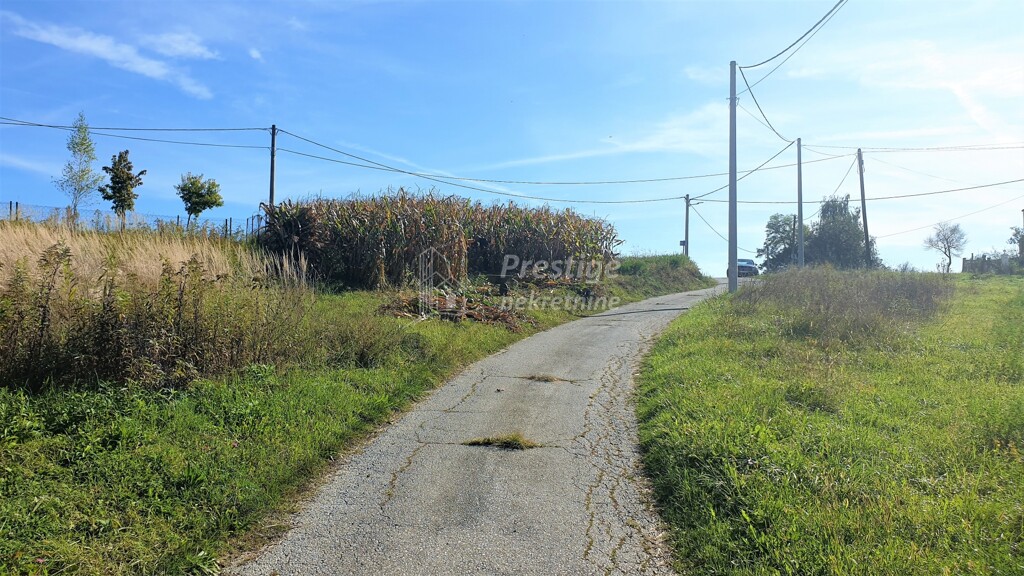 Image 4122639 - 10