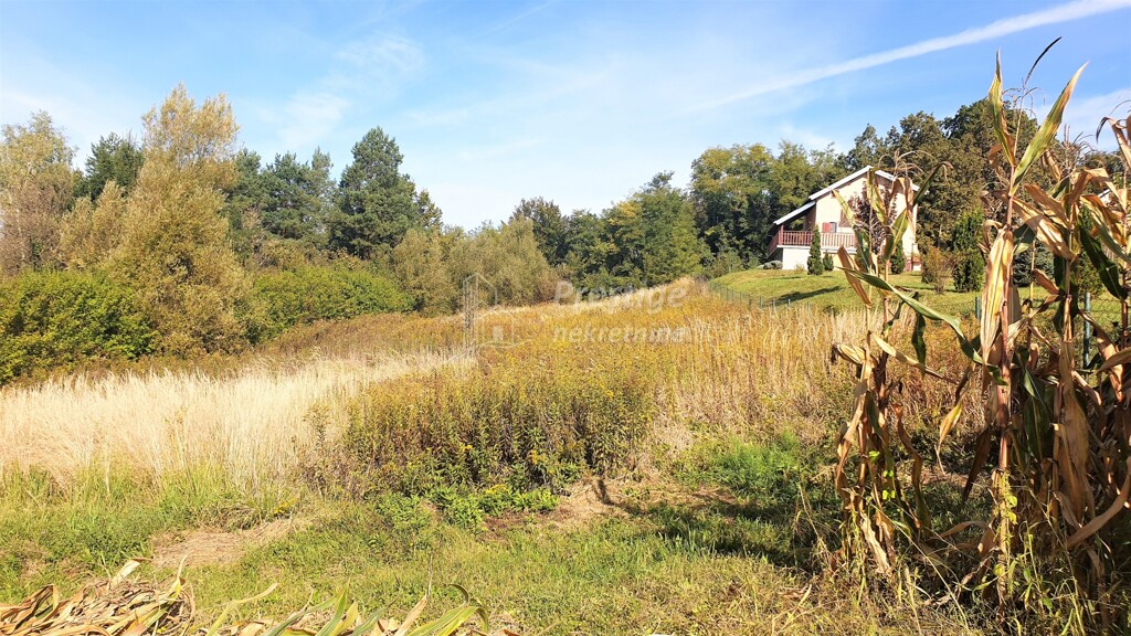 Image 4122639 - 8