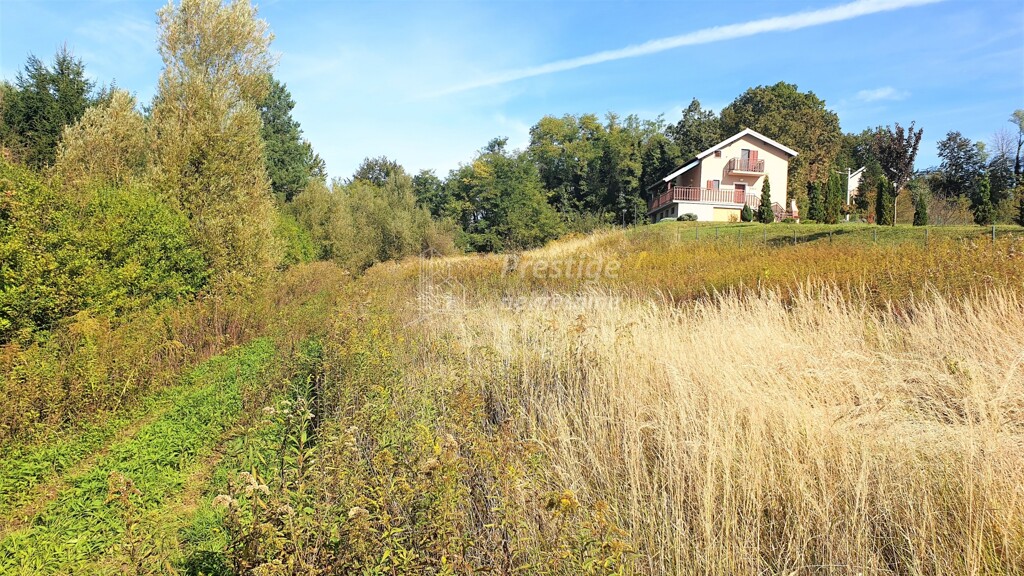 Image 4122639 - 6