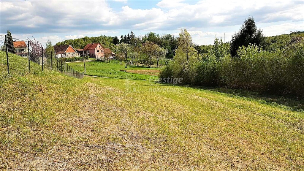 Image 4122639 - 4