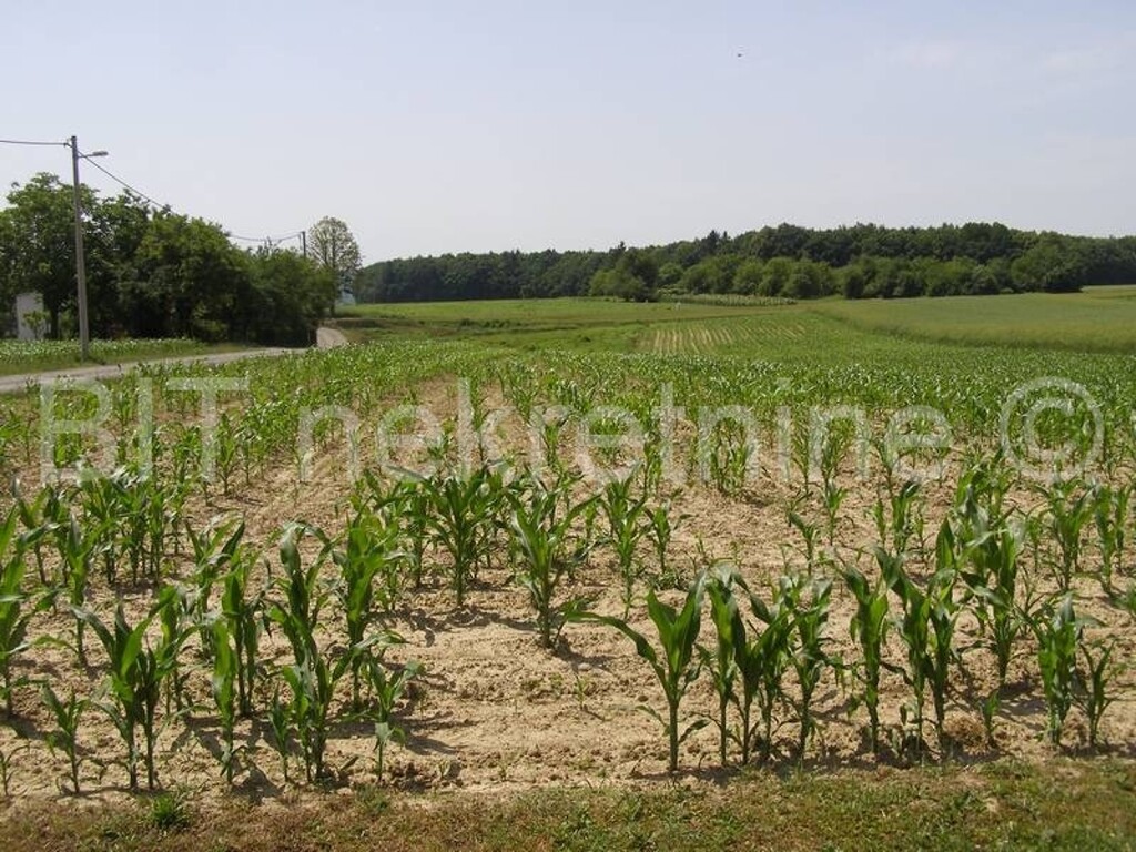 Image 4205433 - 22