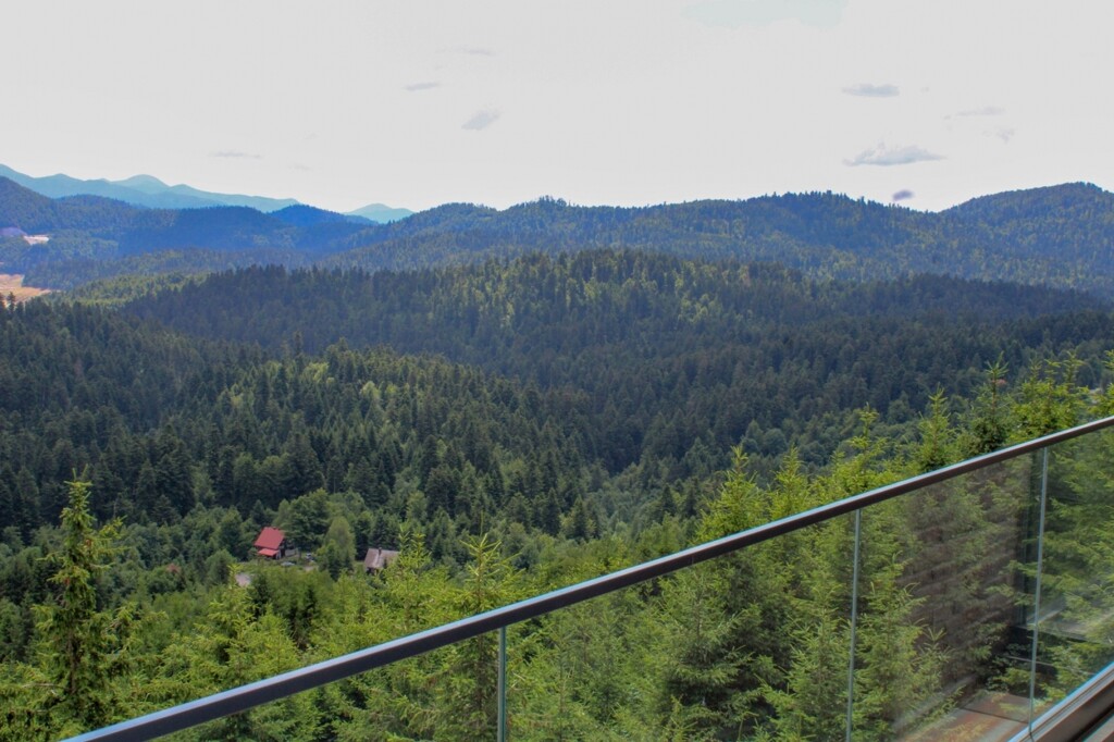 Image 4221204 - 19