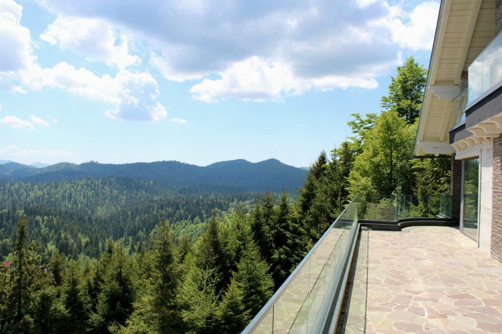 Image 4221204 - 13