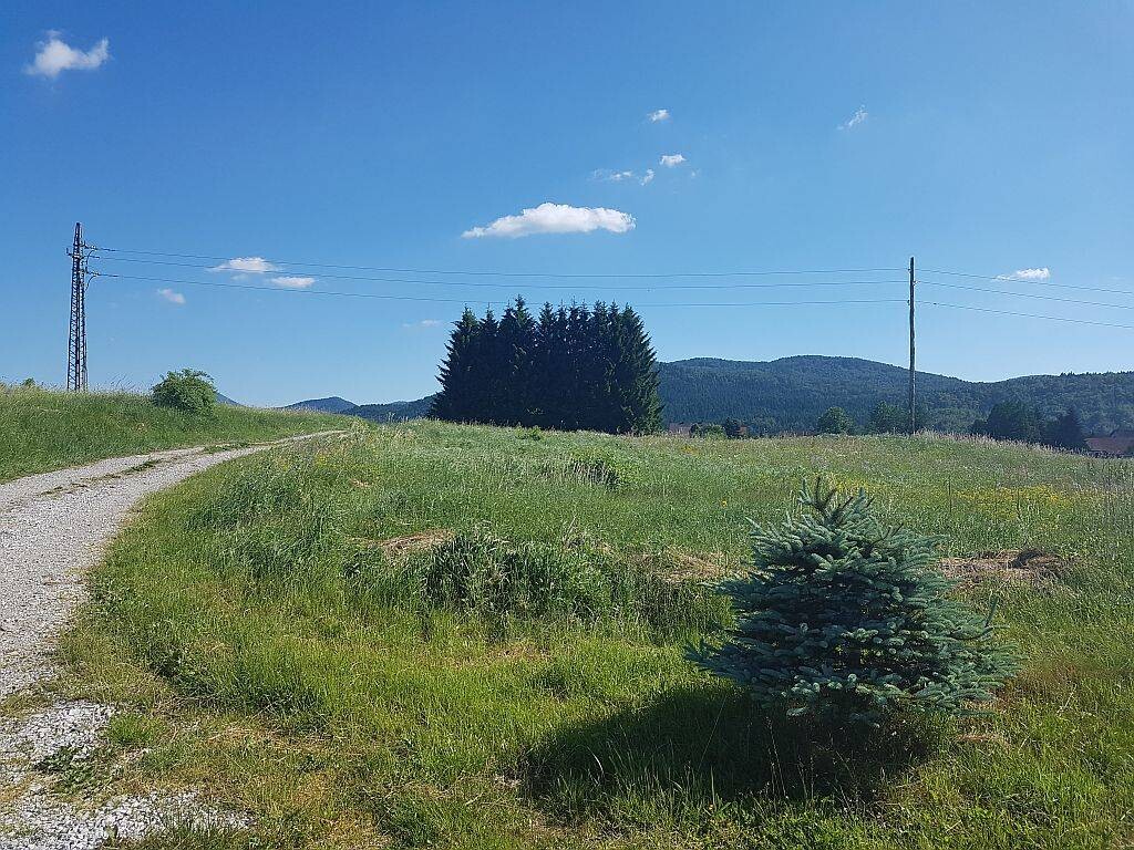Image 4221221 - 1