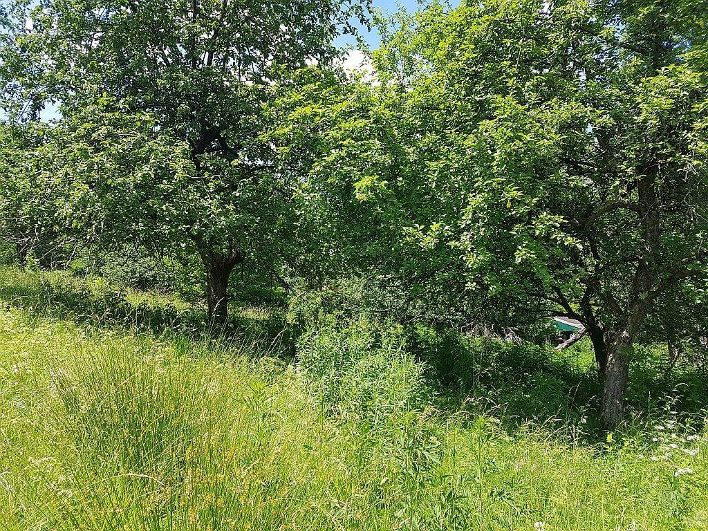 Image 4221222 - 5