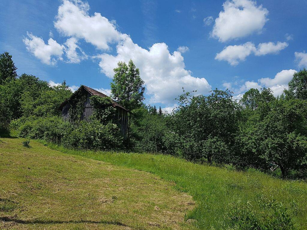 Image 4221222 - 2