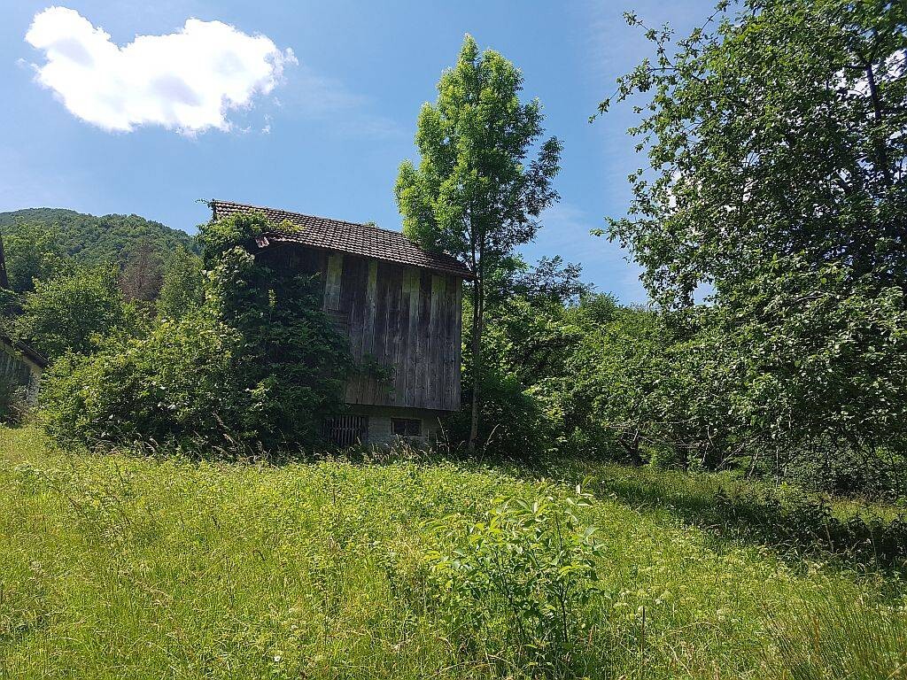 Image 4221222 - 3