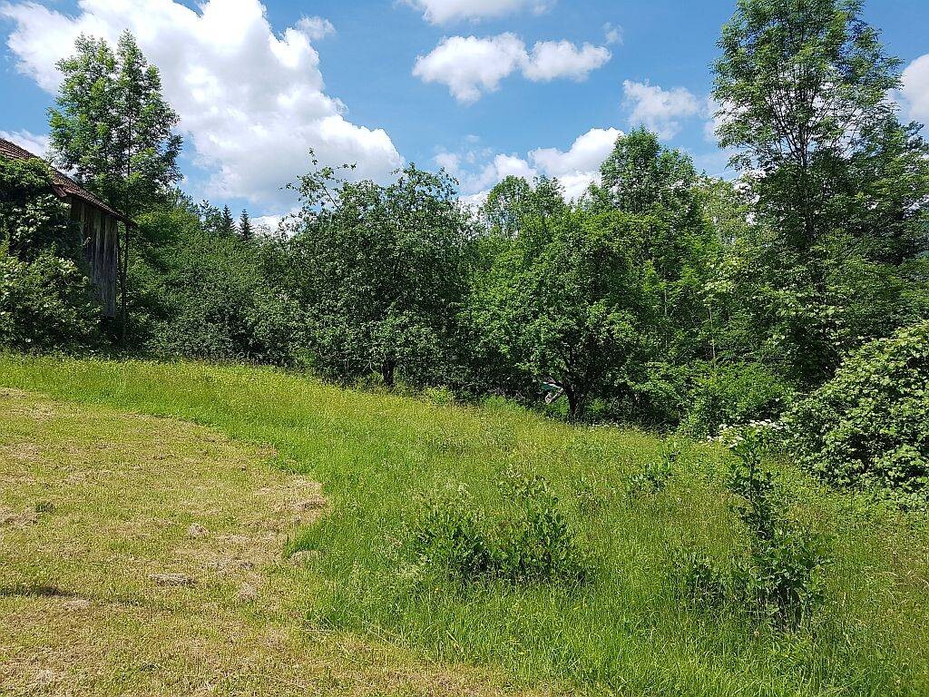 Image 4221222 - 4
