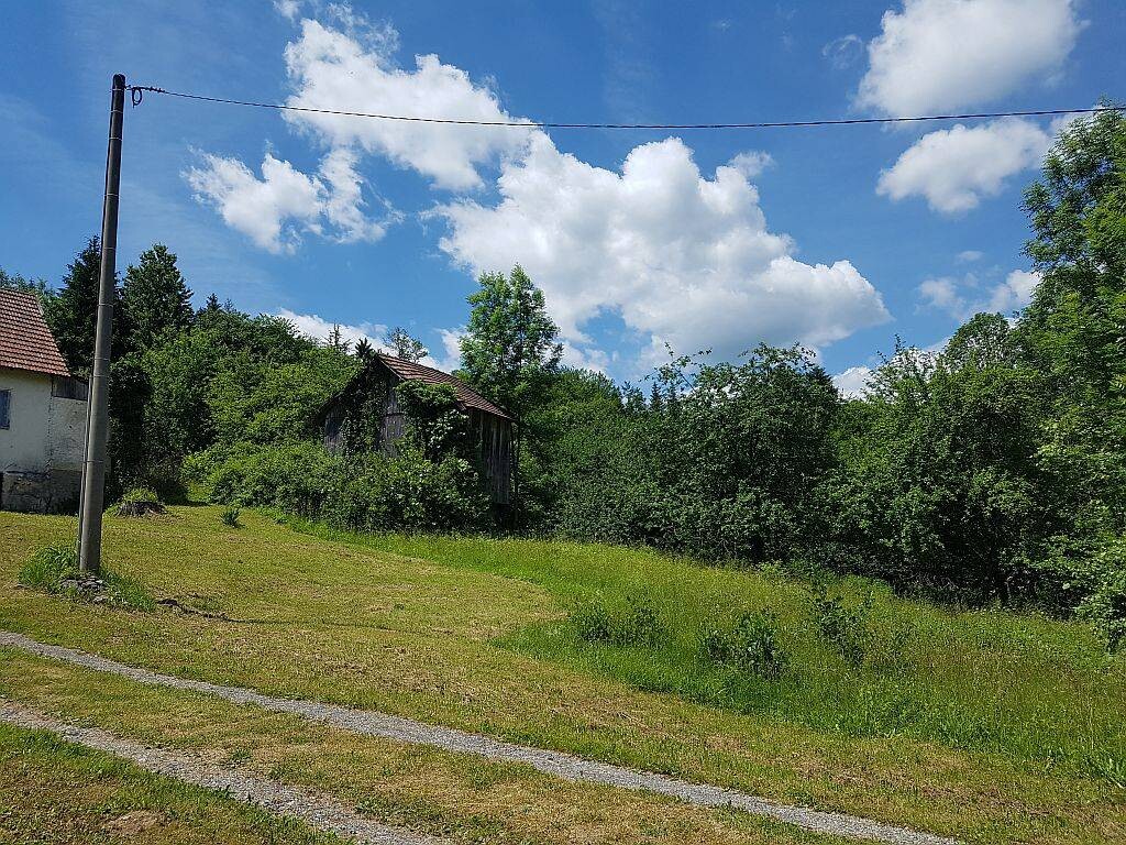 Image 4221222 - 1