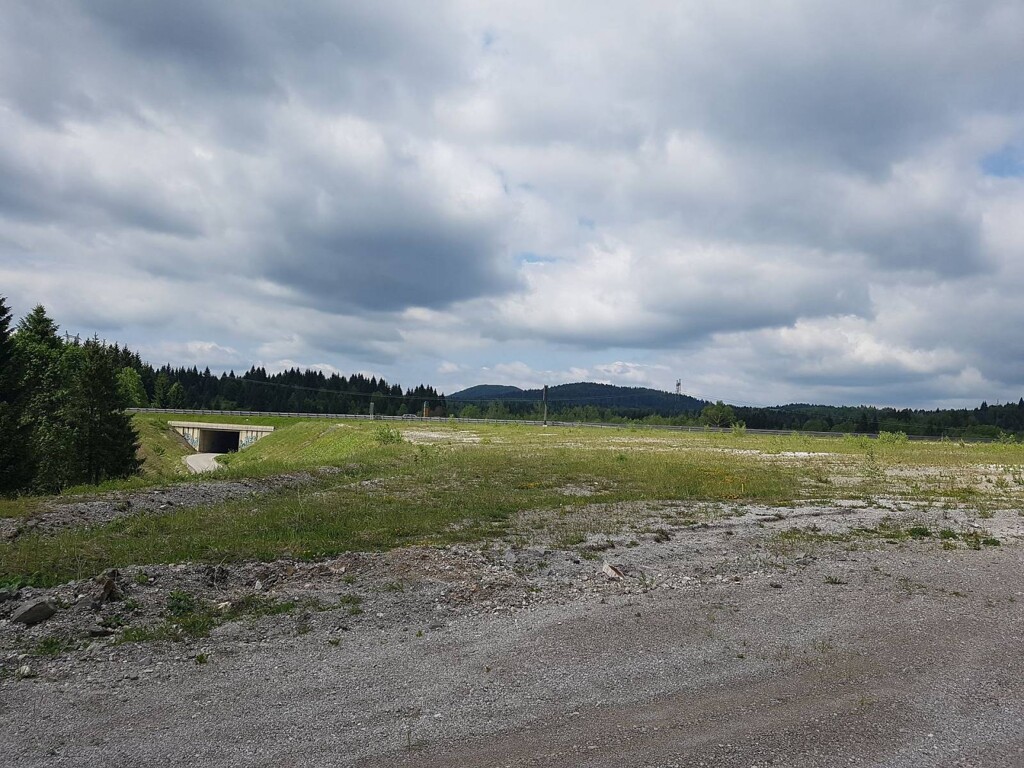 Image 4221229 - 1