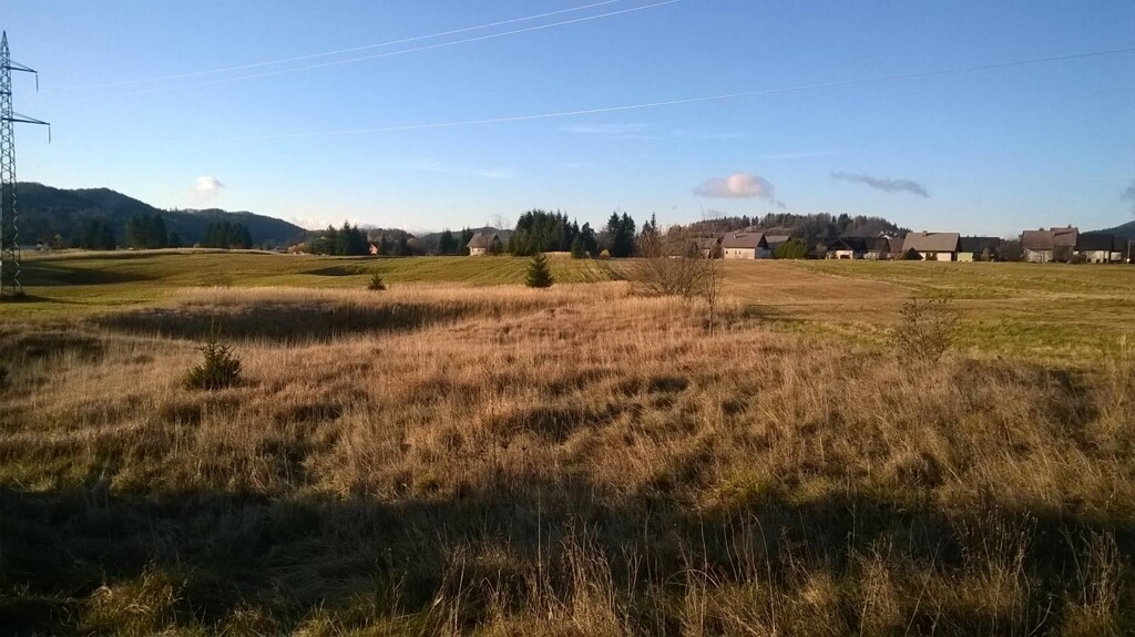 Image 4221251 - 1