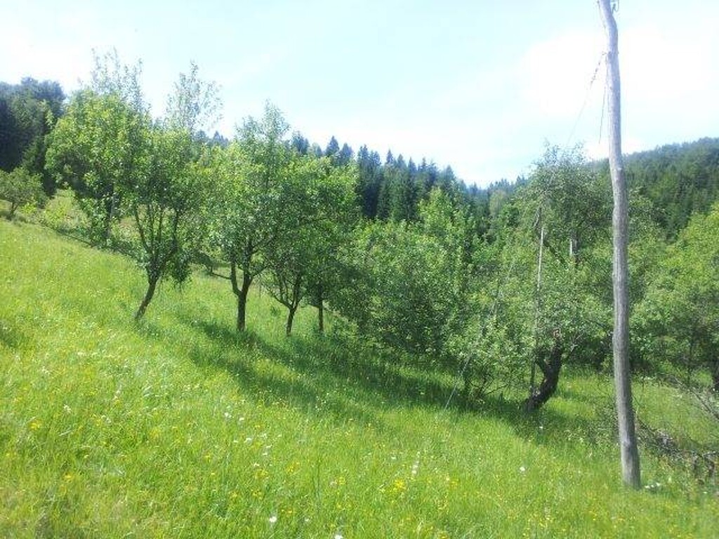 Image 4221278 - 17