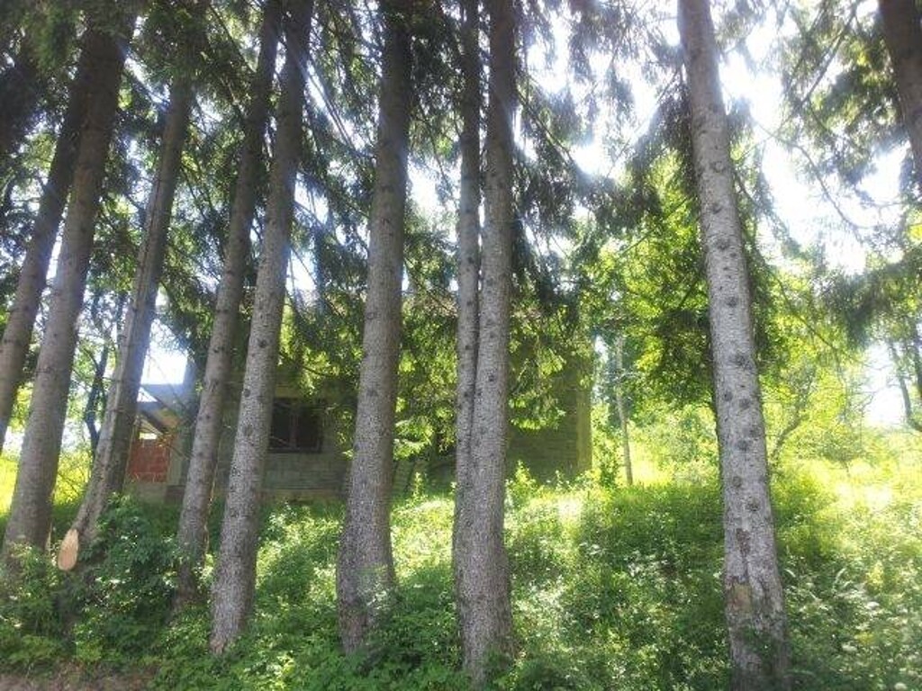 Image 4221278 - 16