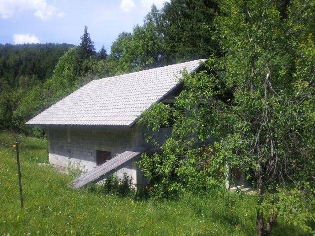 Image 4221278 - 11
