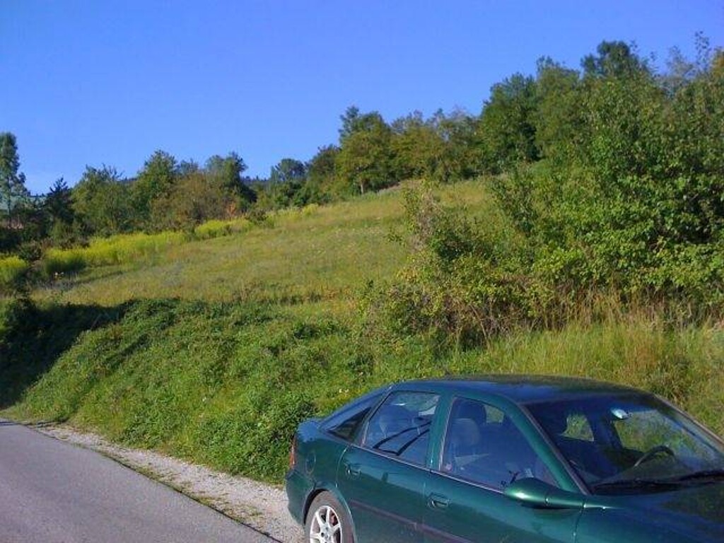 Image 4221297 - 1