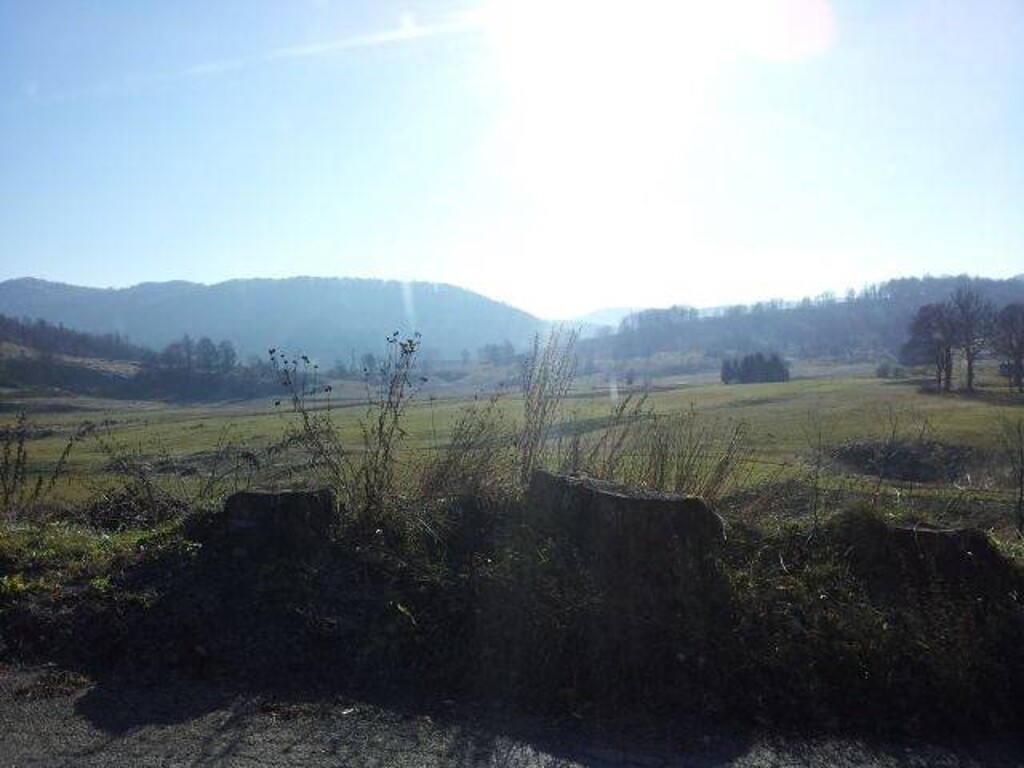 Image 4221300 - 2