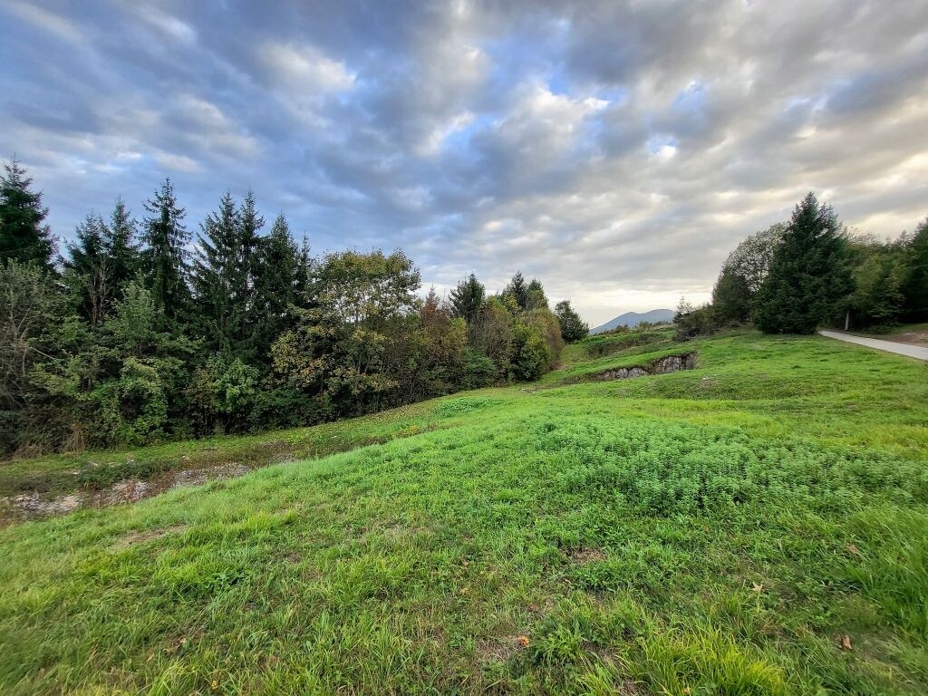 Image 4221306 - 1