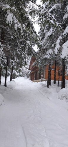 Gorski kotar, Ravna Gora, vikend kuća u šumi