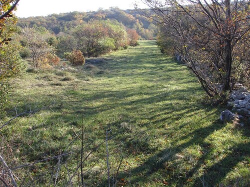 Poljoprivredno zemljište, Ripenda Kosi, 50000m2, 1600m od mora