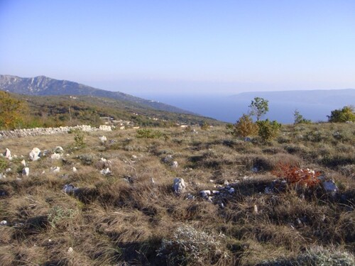 Poljoprivredno zemljište, Ripenda Kosi, 50000m2, 1600m od mora