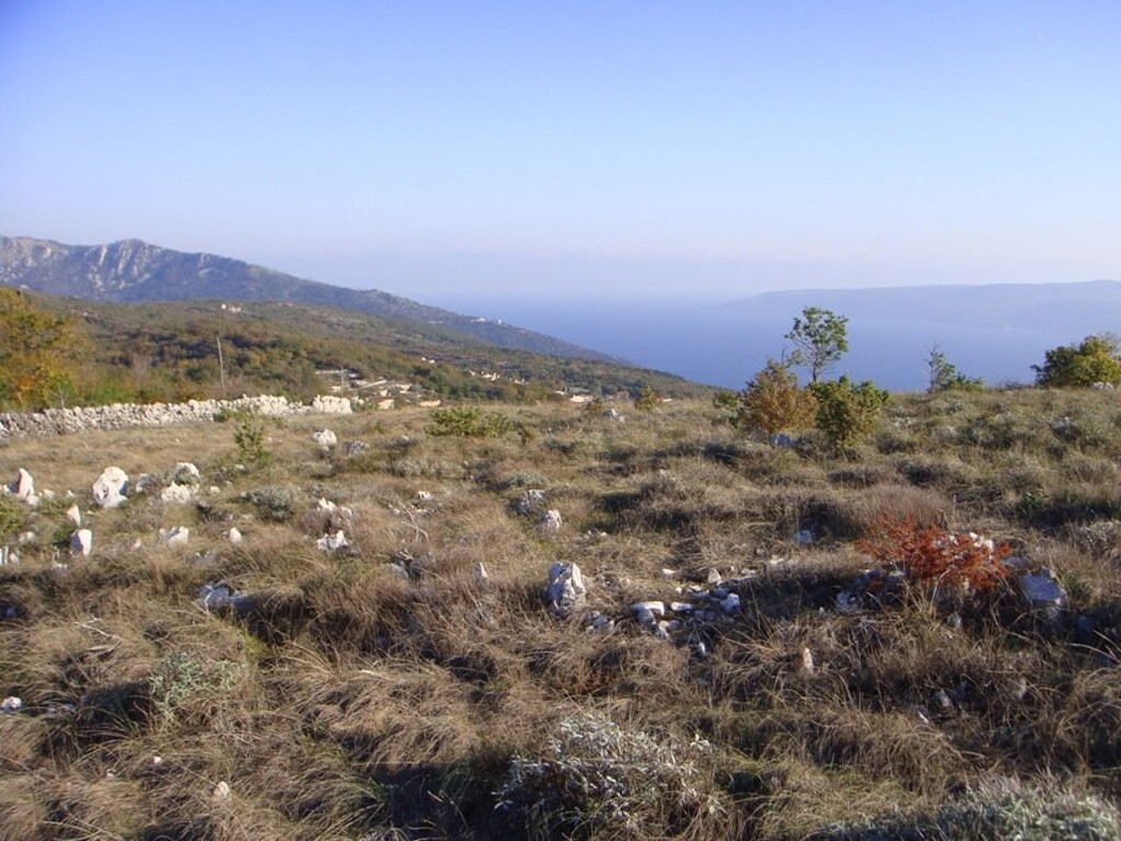 Image 4224347 - 1