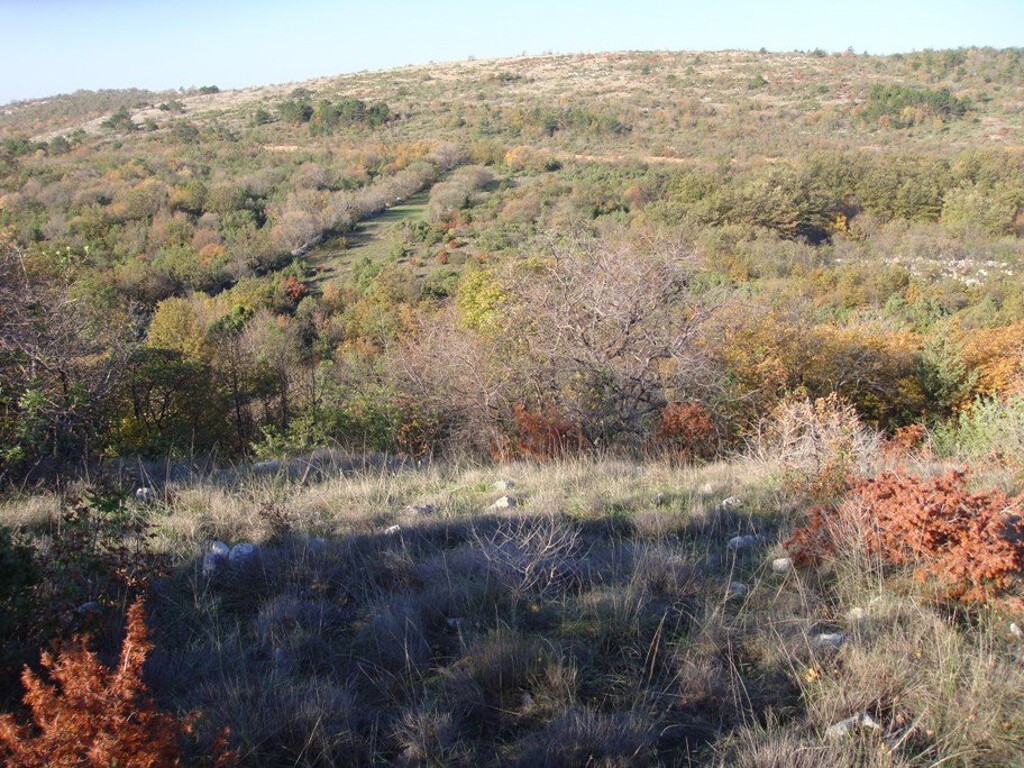 Image 4224347 - 5