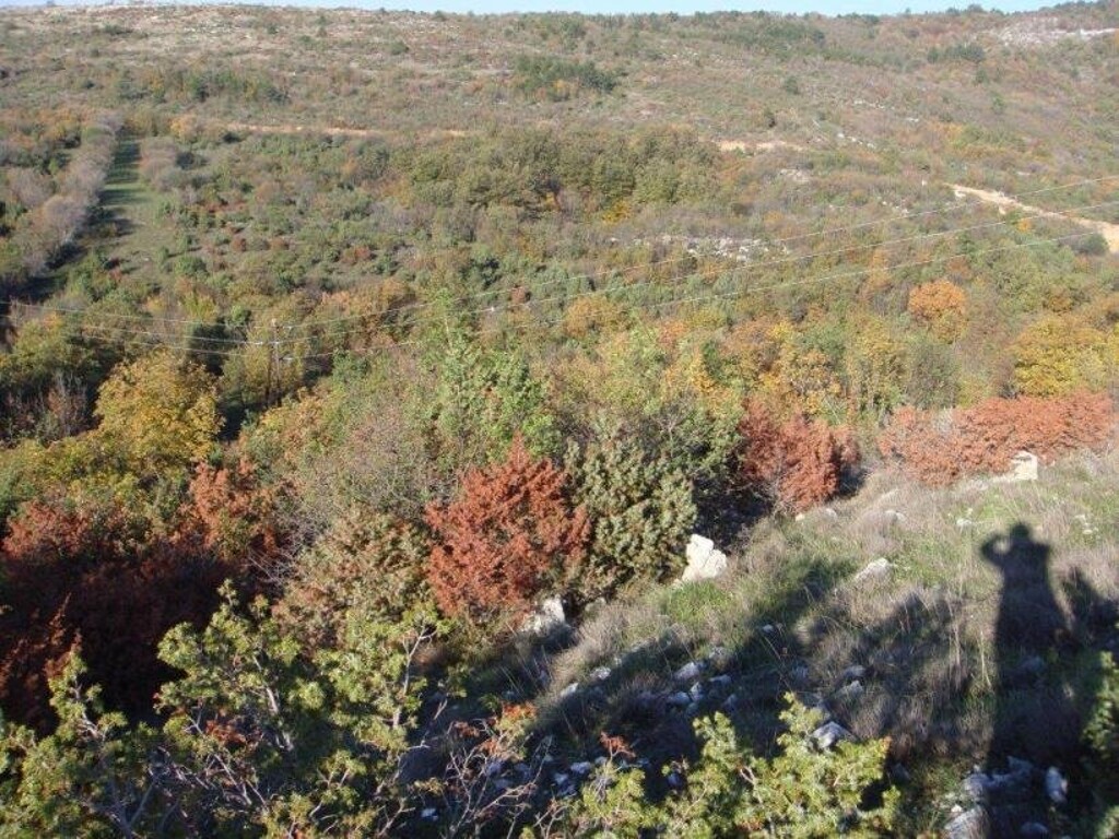 Image 4224347 - 6