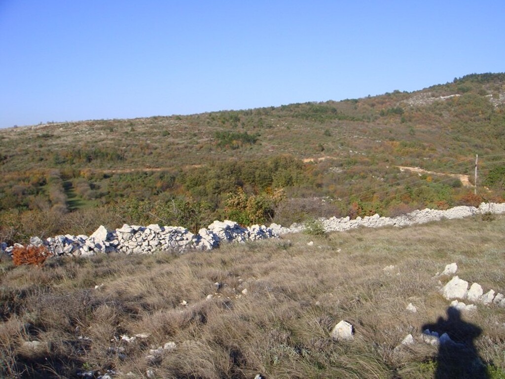 Image 4224347 - 4
