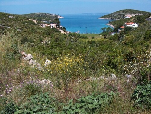 Poljoprivredno zemljište, Hvar - uvala Pribinja 156981 m2, 70 m od mora
