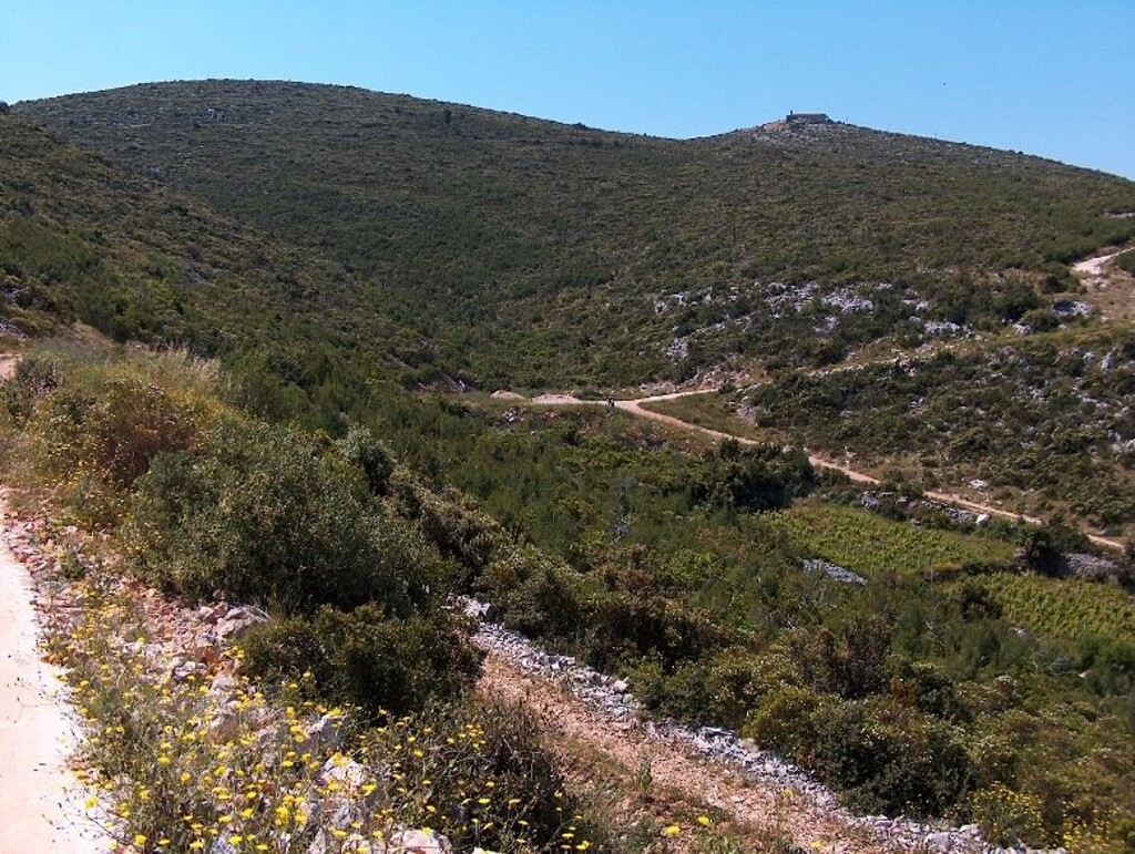 Image 4224355 - 7