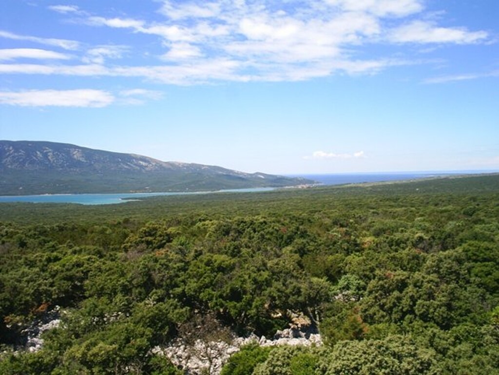 Image 4224370 - 3