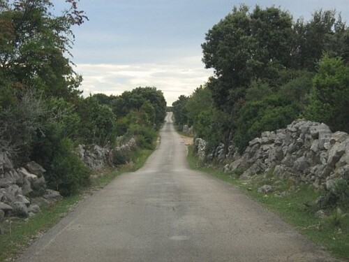 Poljoprivredno zemljište, Cres, 106000 m2