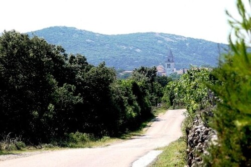 Poljoprivredno zemljište, Cres, 106000 m2