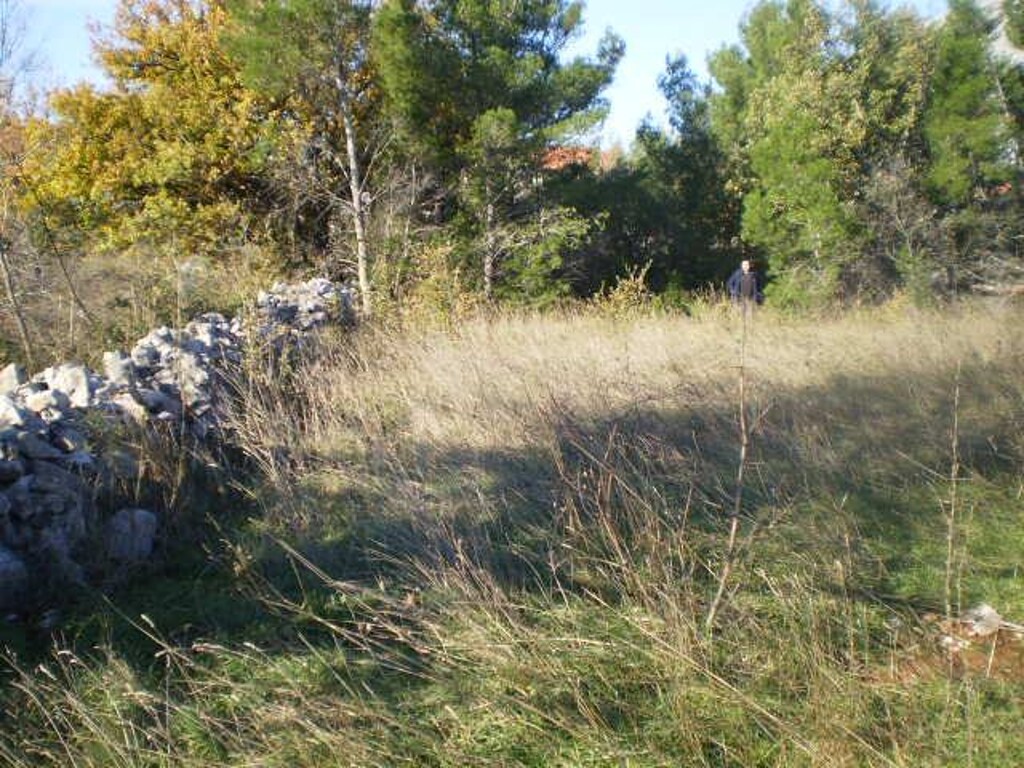 Image 4224394 - 4