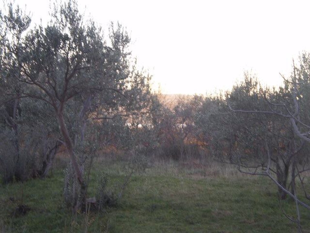 Image 4224398 - 2