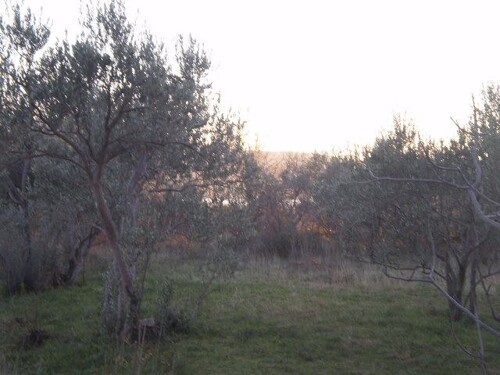 Građevinsko zemljište, Starigrad, 1269 m2, 300 m od mora