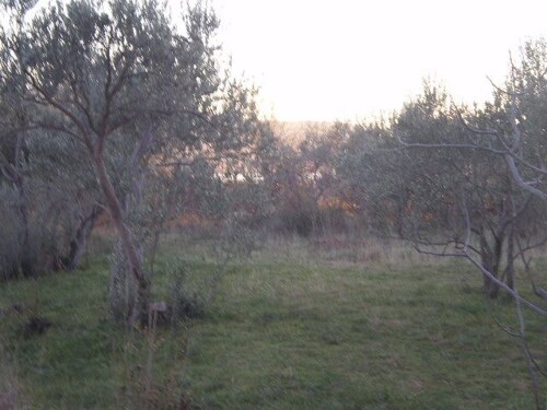Građevinsko zemljište, Starigrad, 1269 m2, 300 m od mora